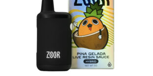 ZOOR – PINA GELADA [3 GRAM THC DISPOSABLE [1@$40][2@$70][3@$90]